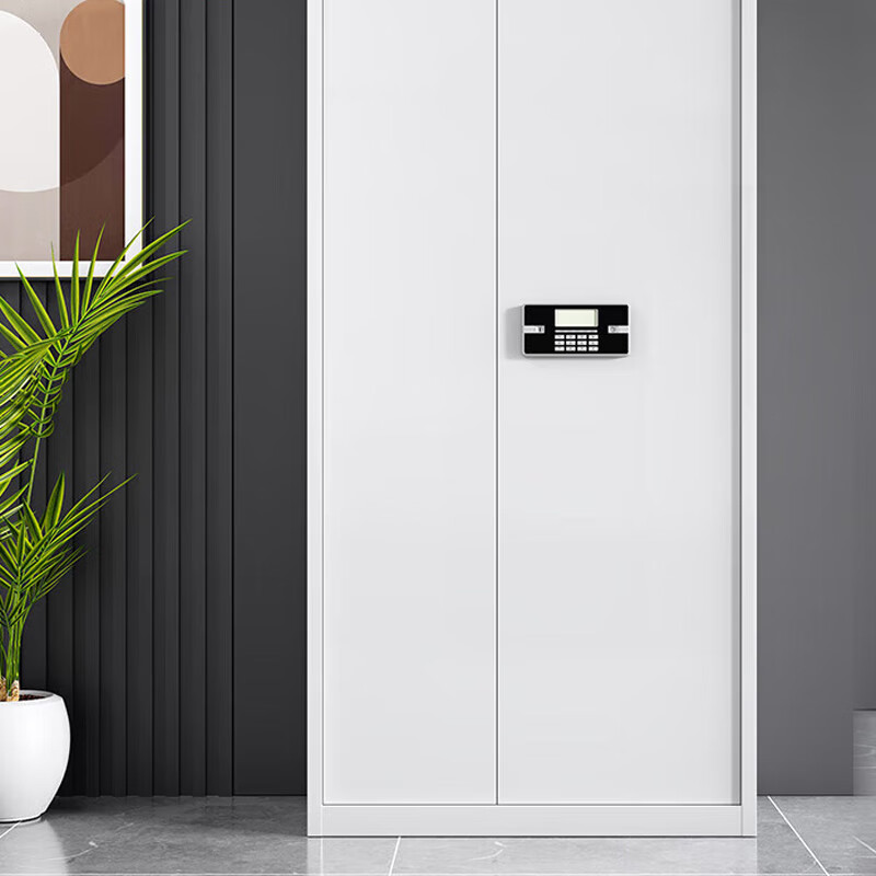 奇冠 通门带斗保密柜 1850*900*420mm 灰白按(张)销售 奇冠 通门带斗保密柜 1850*900*420mm 灰白按(张)销售