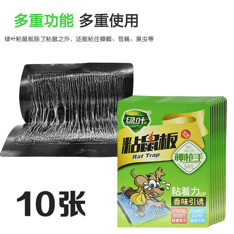 绿叶 GL02113 粘鼠板  神枪手10片装按（组）销售