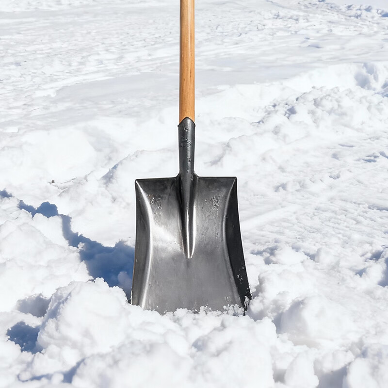 欧思卓 YMQ-FY01 方头铁锹  30*24.5cm 1.2m杆 中号 本色 个按（个）销售