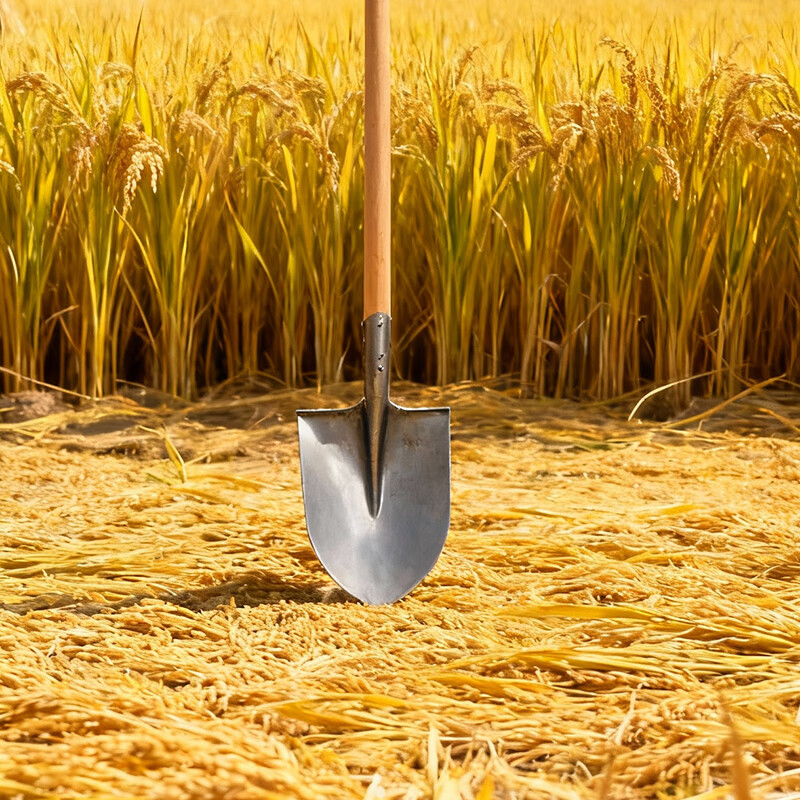 欧思卓 YMQ-JY02 尖头铁锹  30*23.5cm 1.2m杆 中号 本色 个按（个）销售