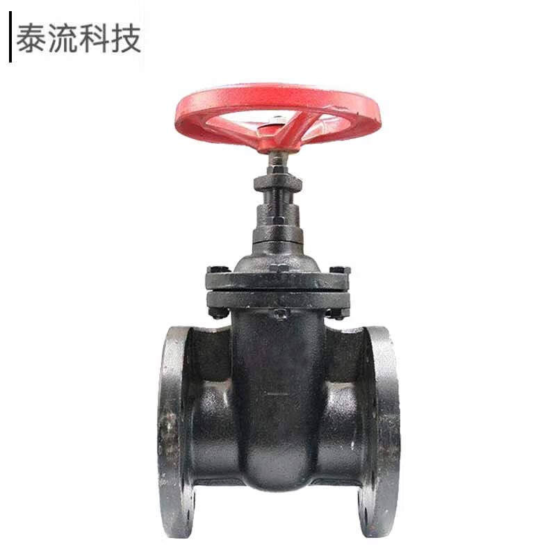 泰流科技 Z45T-10Q DN250 PN10 铸铁闸阀  国标 个按（个）销售