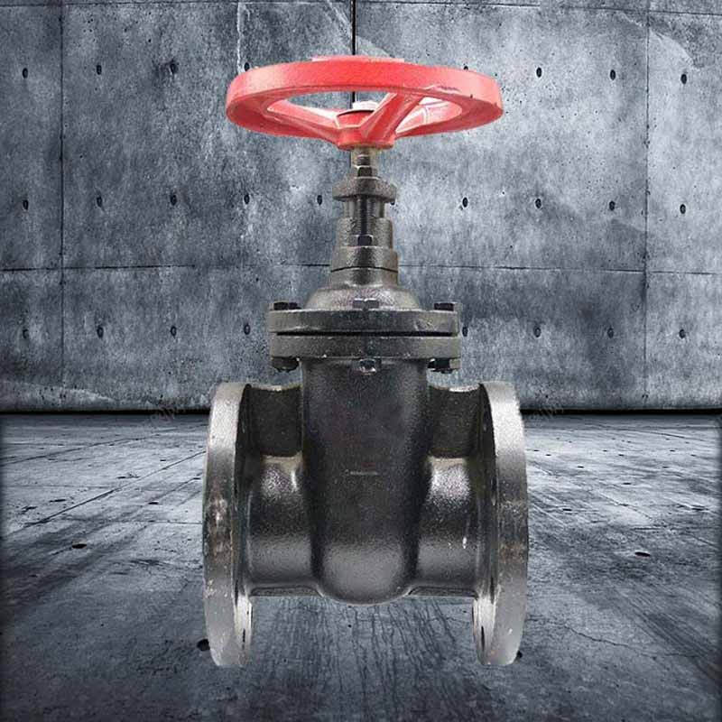 泰流科技 Z45T-10Q DN250 PN10 铸铁闸阀 国标 个按(个)销售 泰流科技 Z45T-10Q DN250 PN10 铸铁闸阀 国标 个按(个)销售