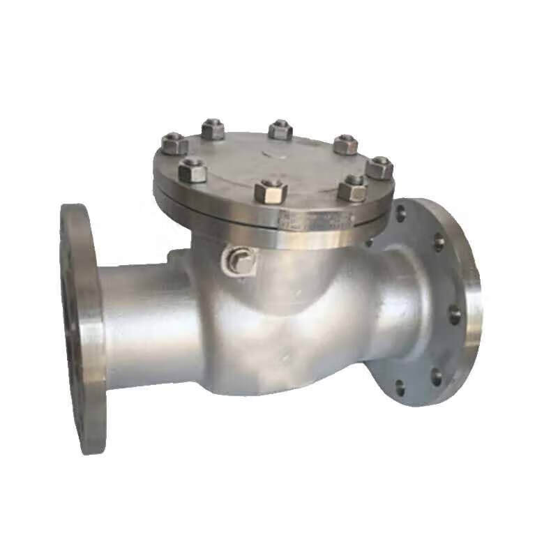 泰流科技 H44W-25P 304不锈钢止回阀  DN150 PN25 个按（个）销售