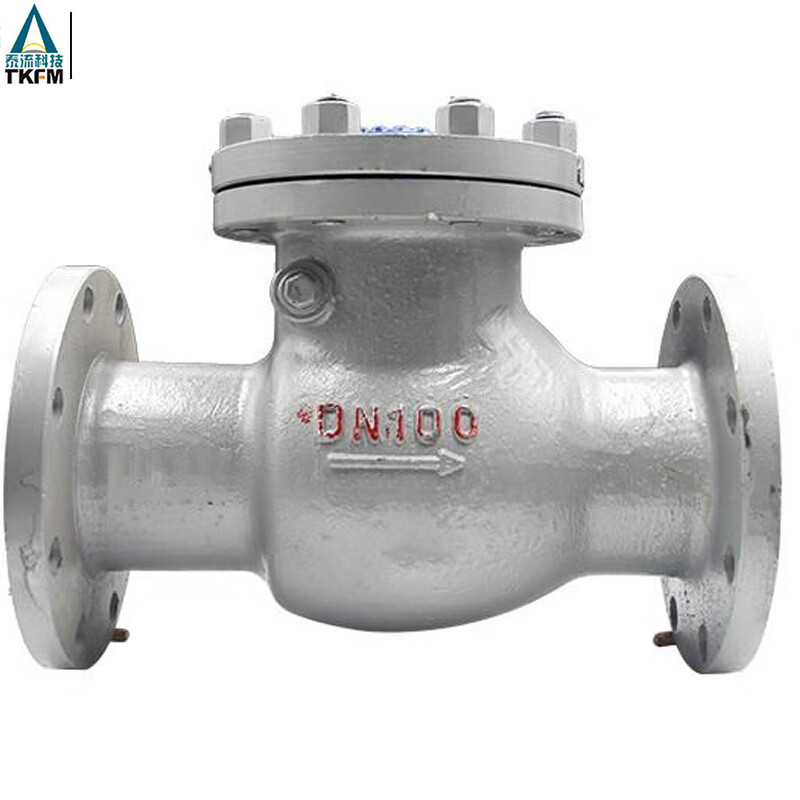 泰流科技 H44H-16C DN100 PN16 碳钢止回阀  台按（台）销售