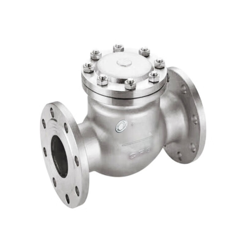 泰流科技 H44H-25R DN125 PN25 316不锈钢旋启式止回阀  台按（台）销售