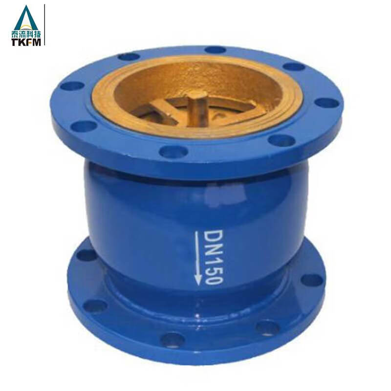 泰流科技 HC41X-25C DN150 铸钢消声止回阀  台按（个）销售