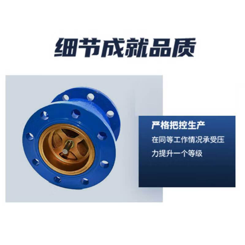 泰流科技 HC41X-25C DN150 铸钢消声止回阀 台按(个)销售 泰流科技 HC41X-25C DN150 铸钢消声止回阀 台按(个)销售