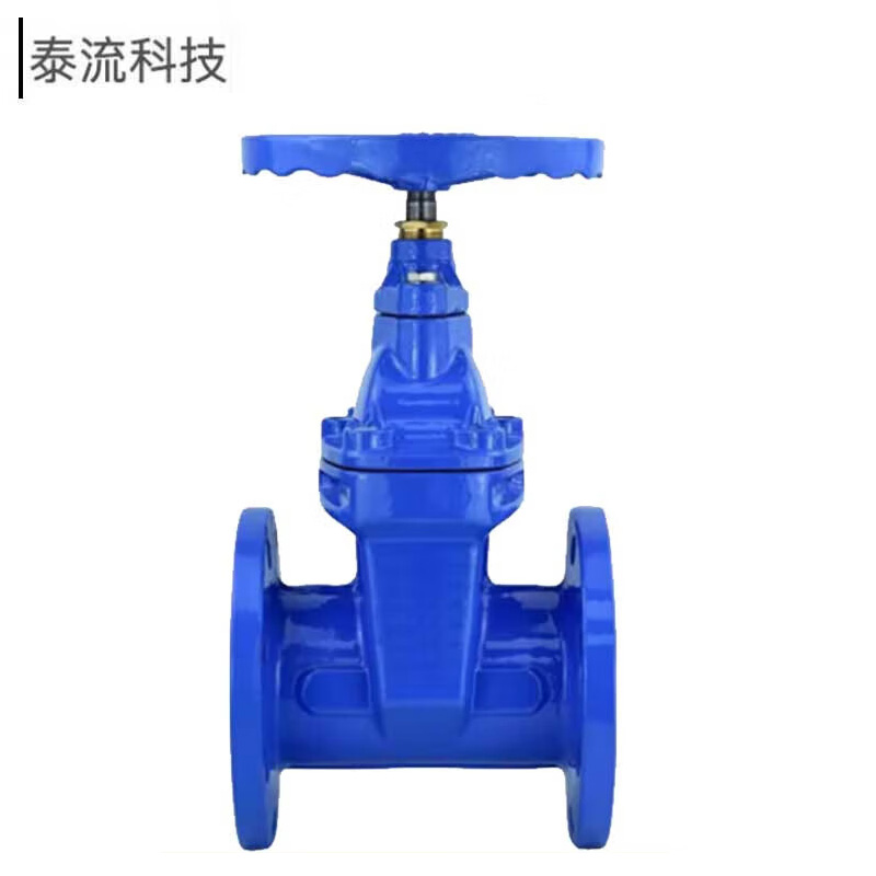 泰流科技 Z45X-1.0MPa DN100 PN10 铸铁闸阀 台按（台）销售