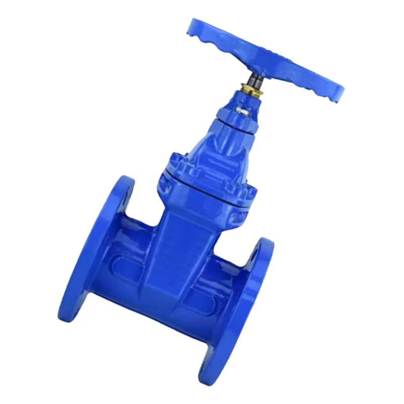 泰流科技 Z45X-1.0MPa DN100 PN10 铸铁闸阀 台按（台）销售