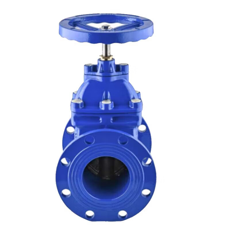 泰流科技 Z45X-1.0MPa DN100 PN10 铸铁闸阀 台按（台）销售