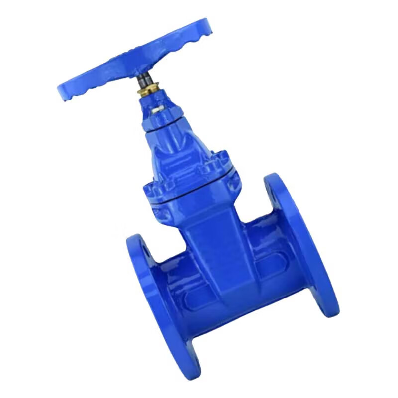 泰流科技 Z45X-1.0MPa DN100 PN10 铸铁闸阀 台按（台）销售